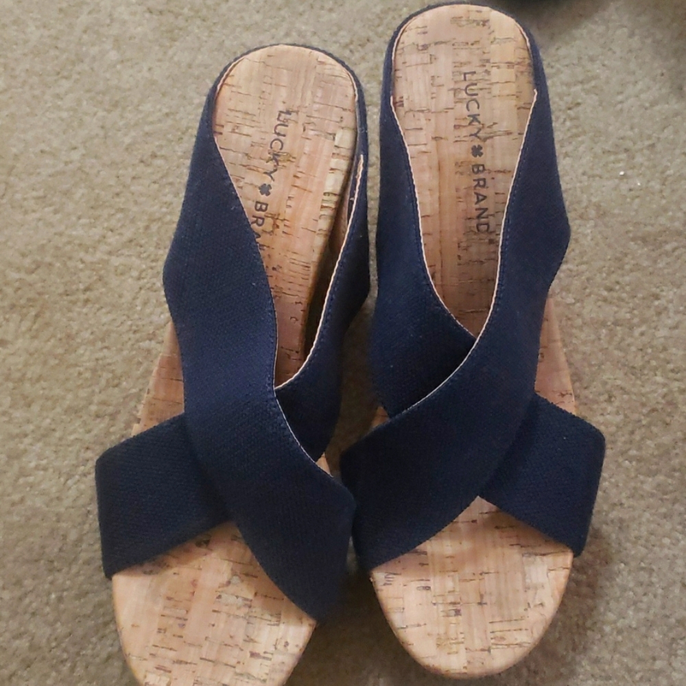Blue Wedges